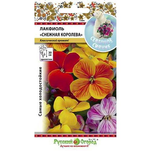 Лакфиоль (хейрантус) Снежная Королева, смесь окрасок НК изображение 1 артикул 92548