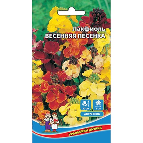 Лакфиоль (хейрантус) Весенняя песенка, смесь окрасок Уральский дачник изображение 1 артикул 94820