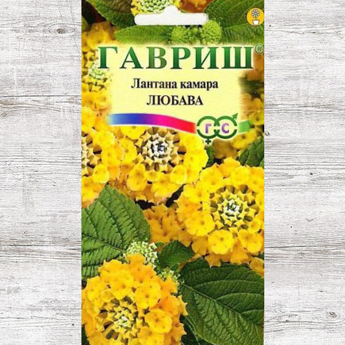 Лантана Камара Любава Гавриш изображение 1 артикул 71196