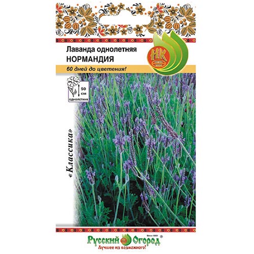 Лаванда Нормандия НК изображение 1 артикул 92545