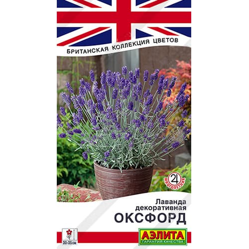 Лаванда Оксфорд Аэлита изображение 1 артикул 98982
