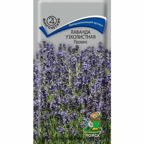 Лаванда Прованс Поиск артикул фото 1 Лаванда Прованс Поиск изображение 1 артикул 93023
