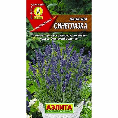 Лаванда Синеглазка Аэлита изображение 1 артикул 40078