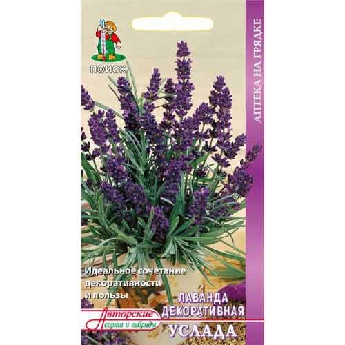 Лаванда Услада Поиск изображение 1 артикул 93025