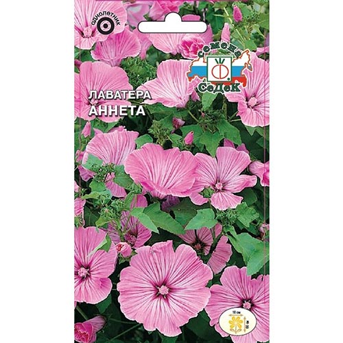 Лаватера Аннета Седек изображение 1 артикул 93862