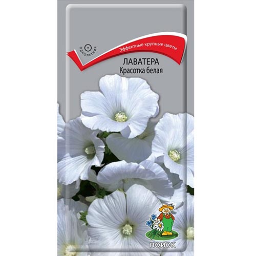 Лаватера Красотка белая Поиск изображение 1 артикул 93026