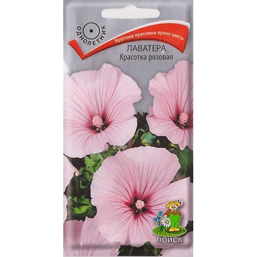 Лаватера Красотка розовая Поиск изображение 1 артикул 93028