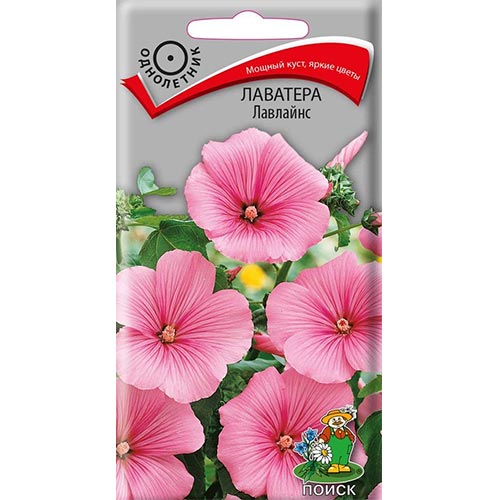Лаватера Лавлайнс Поиск изображение 1 артикул 93030