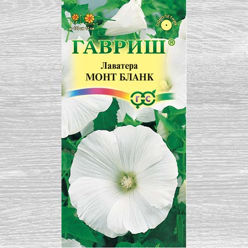 Лаватера Монт Бланк артикул фото 1 Лаватера Монт Бланк изображение 1 артикул 73862