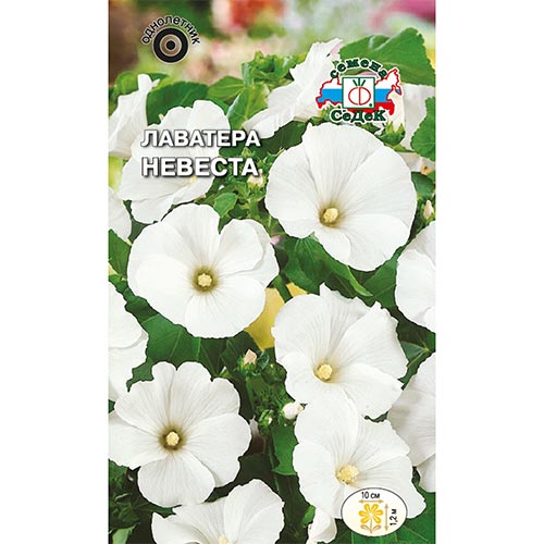 Лаватера Невеста Седек изображение 1 артикул 93863