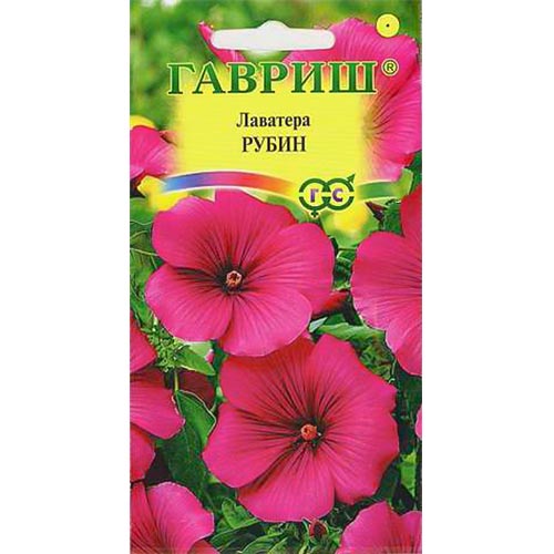 Лаватера Рубин Гавриш изображение 1 артикул 92117