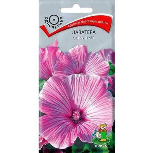 Лаватера Сильвер Кап Поиск изображение 1 артикул 93031