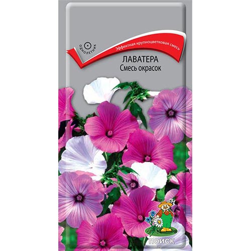 Лаватера, смесь окрасок Поиск изображение 1 артикул 93032
