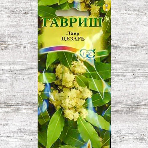 Лавр благородный Цезарь Гавриш артикул фото 1 Лавр благородный Цезарь Гавриш изображение 1 артикул 66084