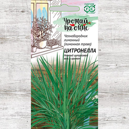 Лемонграсс (лимонная трава) Цитронелла Гавриш изображение 1 артикул 84019