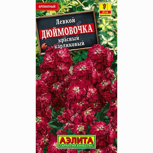 Левкой карликовый Дюймовочка красный Аэлита изображение 1 артикул 98991