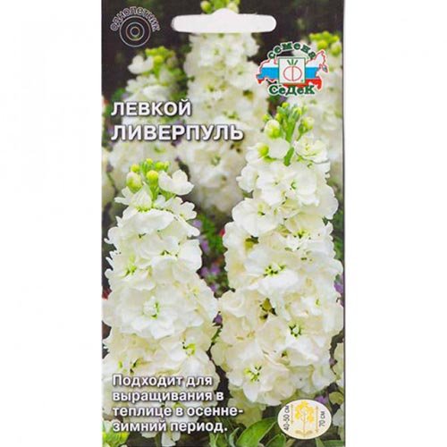 Левкой Ливерпуль Седек изображение 1 артикул 93868