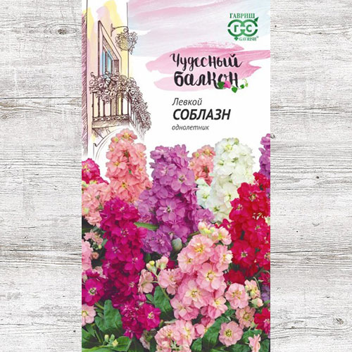 Левкой Соблазн, смесь окрасок Гавриш изображение 1 артикул 73864