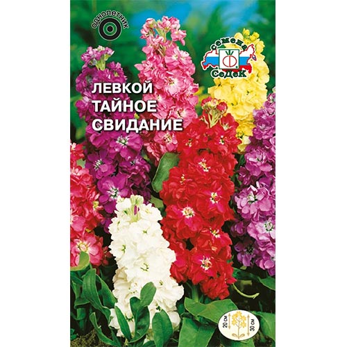 Левкой Тайное свидание, смесь окрасок Седек изображение 1 артикул 93871