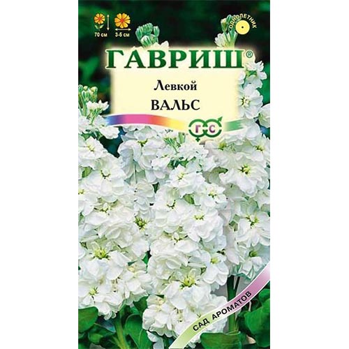 Левкой Вальс Гавриш изображение 1 артикул 92119