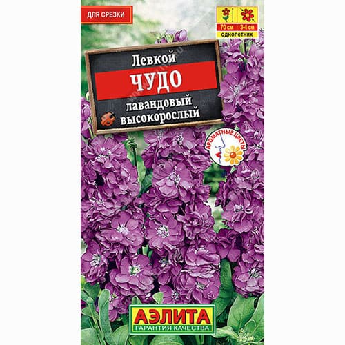 Левкой высокорослый Чудо лавандовый Аэлита артикул фото 1 Левкой высокорослый Чудо лавандовый Аэлита изображение 1 артикул 98987