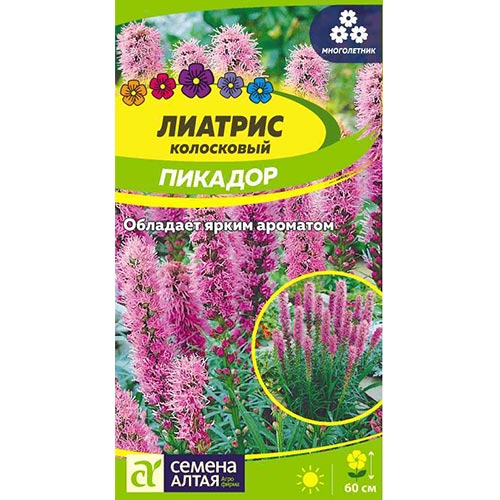 Лиатрис Пикадор Семена Алтая изображение 1 артикул 94188