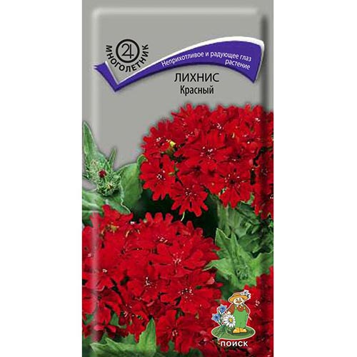 Лихнис халцедонский Красный Поиск изображение 1 артикул 93036