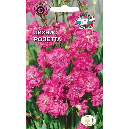 Лихнис халцедонский Розетта Седек изображение 1 артикул 93880