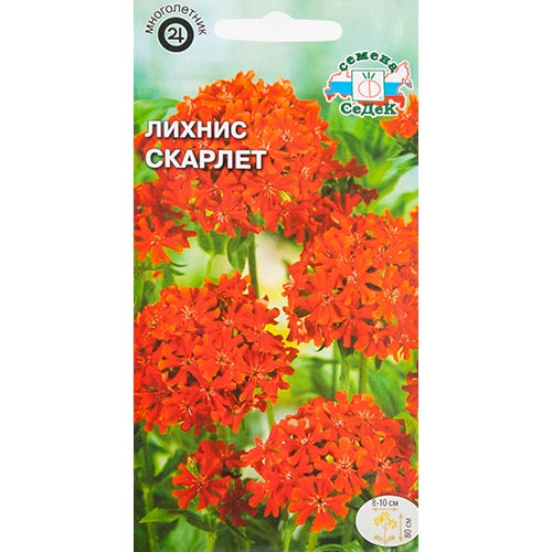 Лихнис халцедонский Скарлет Седек изображение 1 артикул 93881