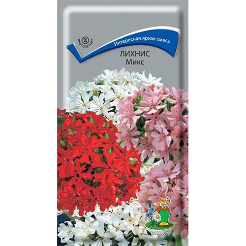 Лихнис халцедонский, смесь окрасок Поиск изображение 1 артикул 93037