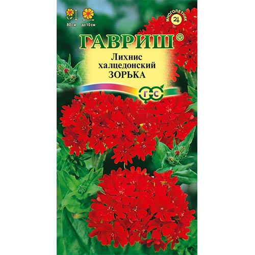 Лихнис халцедонский Зорька Гавриш изображение 1 артикул 92133
