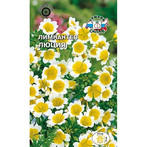 Лимнантес Люция Седек изображение 1 артикул 93879