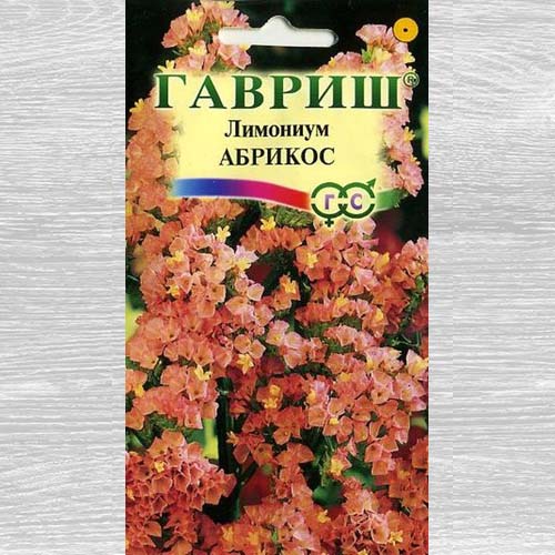 Лимониум Абрикос Гавриш артикул фото 1 Лимониум Абрикос Гавриш изображение 1 артикул 73866