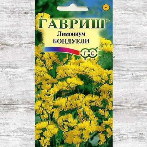 Лимониум Бондуели Гавриш изображение 1 артикул 71197