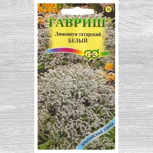 Лимониум татарский белый изображение 1 артикул 73744