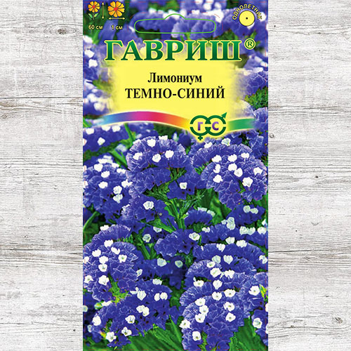 Лимониум темно-синий Гавриш изображение 1 артикул 71198