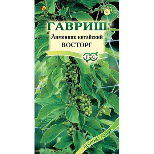 Лимонник китайский Восторг Гавриш изображение 1 артикул 92132