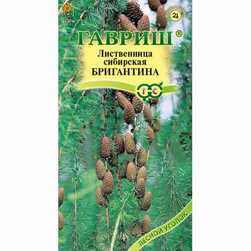 Лиственница сибирская Бригантина Гавриш изображение 1 артикул 82399