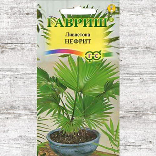Ливистона Нефрит Гавриш изображение 1 артикул 82398