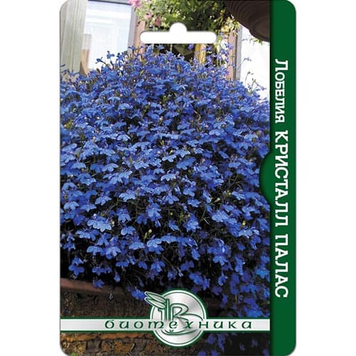 Лобелия ампельная Кристалл палас Биотехника изображение 1 артикул 91589