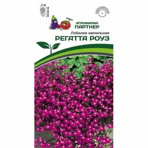 Лобелия ампельная Регатта Роуз Партнер изображение 1 артикул 88084