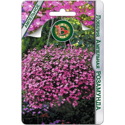 Лобелия ампельная Розамунда Биотехника изображение 1 артикул 97337