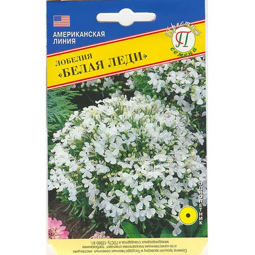 Лобелия Белая леди Престиж изображение 1 артикул 81352