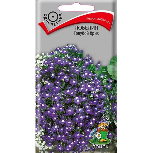 Лобелия Голубой бриз Поиск изображение 1 артикул 93039