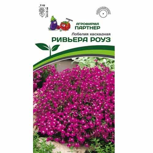 Лобелия каскадная Ривьера Роуз Партнер изображение 1 артикул 97001