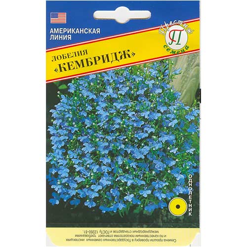 Лобелия Кембридж Престиж артикул фото 1 Лобелия Кембридж Престиж изображение 1 артикул 81353