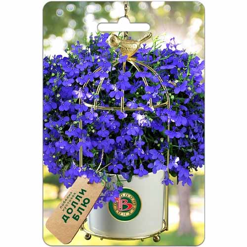 Лобелия кустовая Долли блю Биотехника изображение 1 артикул 40428