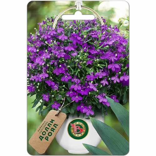 Лобелия кустовая Долли роял Биотехника изображение 1 артикул 40430