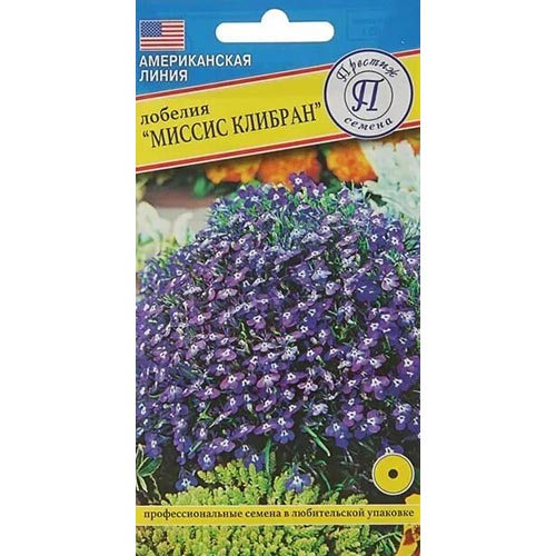 Лобелия кустовая Миссис Клибран Престиж изображение 1 артикул 93237