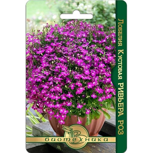 Лобелия кустовая Ривьера Роз Биотехника изображение 1 артикул 91590